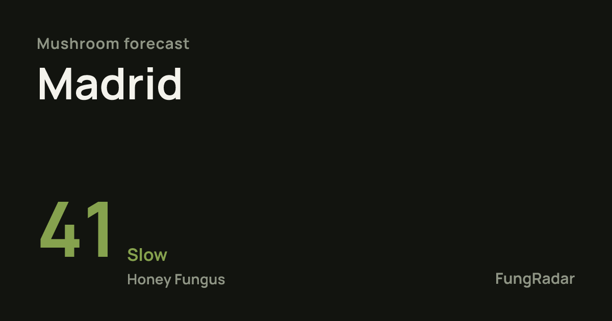 Are there mushrooms in Madrid? Forecast for October 2026 | FungRadar